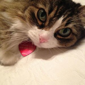 Meet your Posher, Joanne